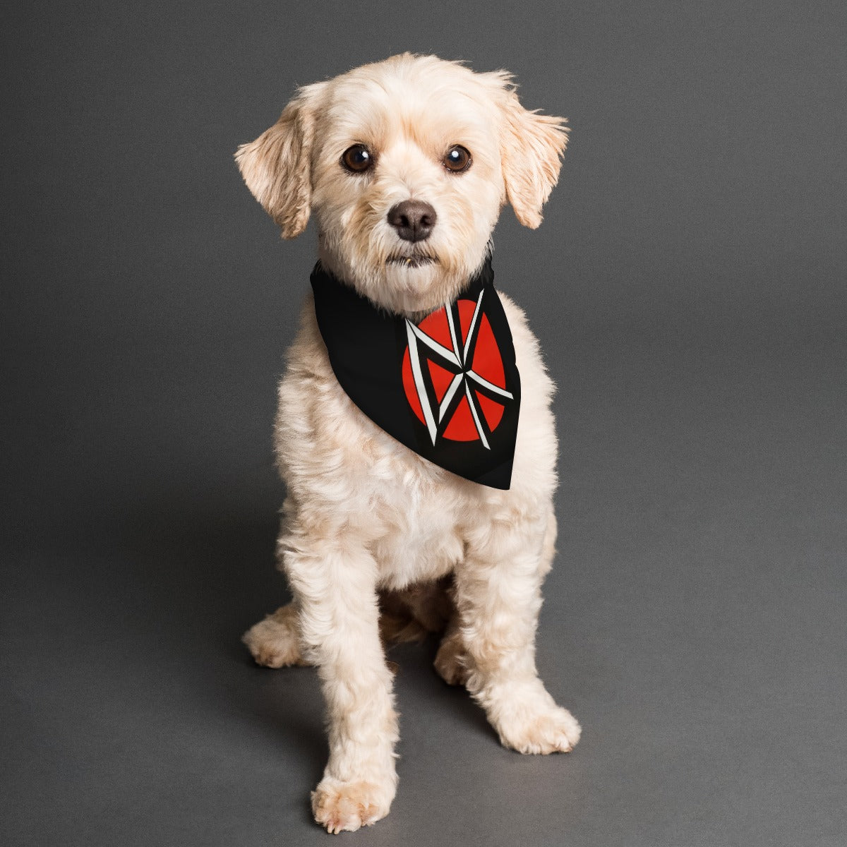 All-Over Print Pet's Scarf
